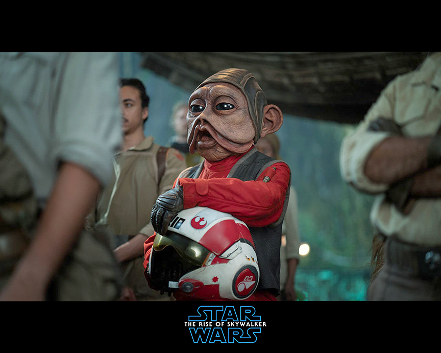 Nien Nunb Skywalker 8x10 Signed