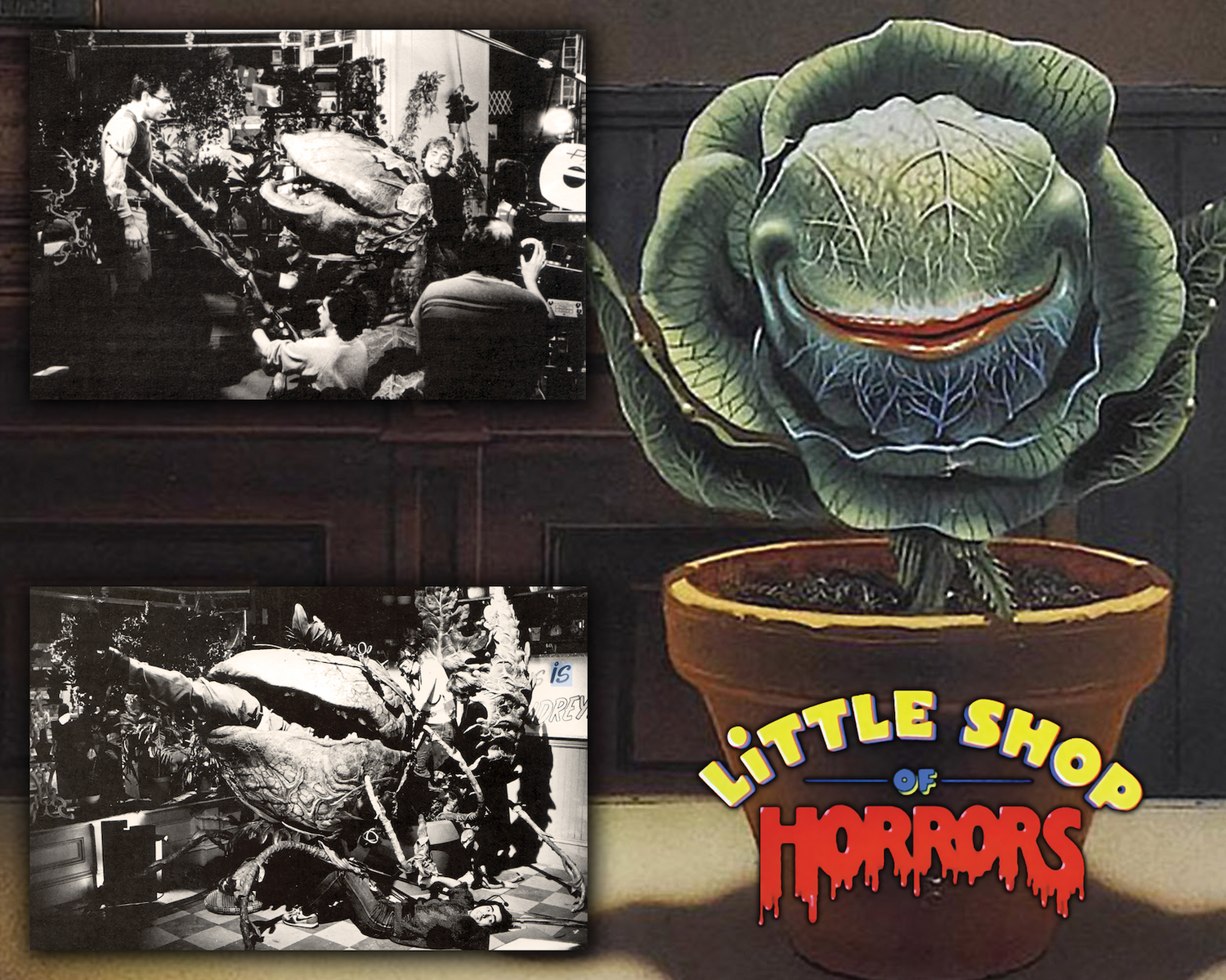 Little Shop Of Horrors 8x10
