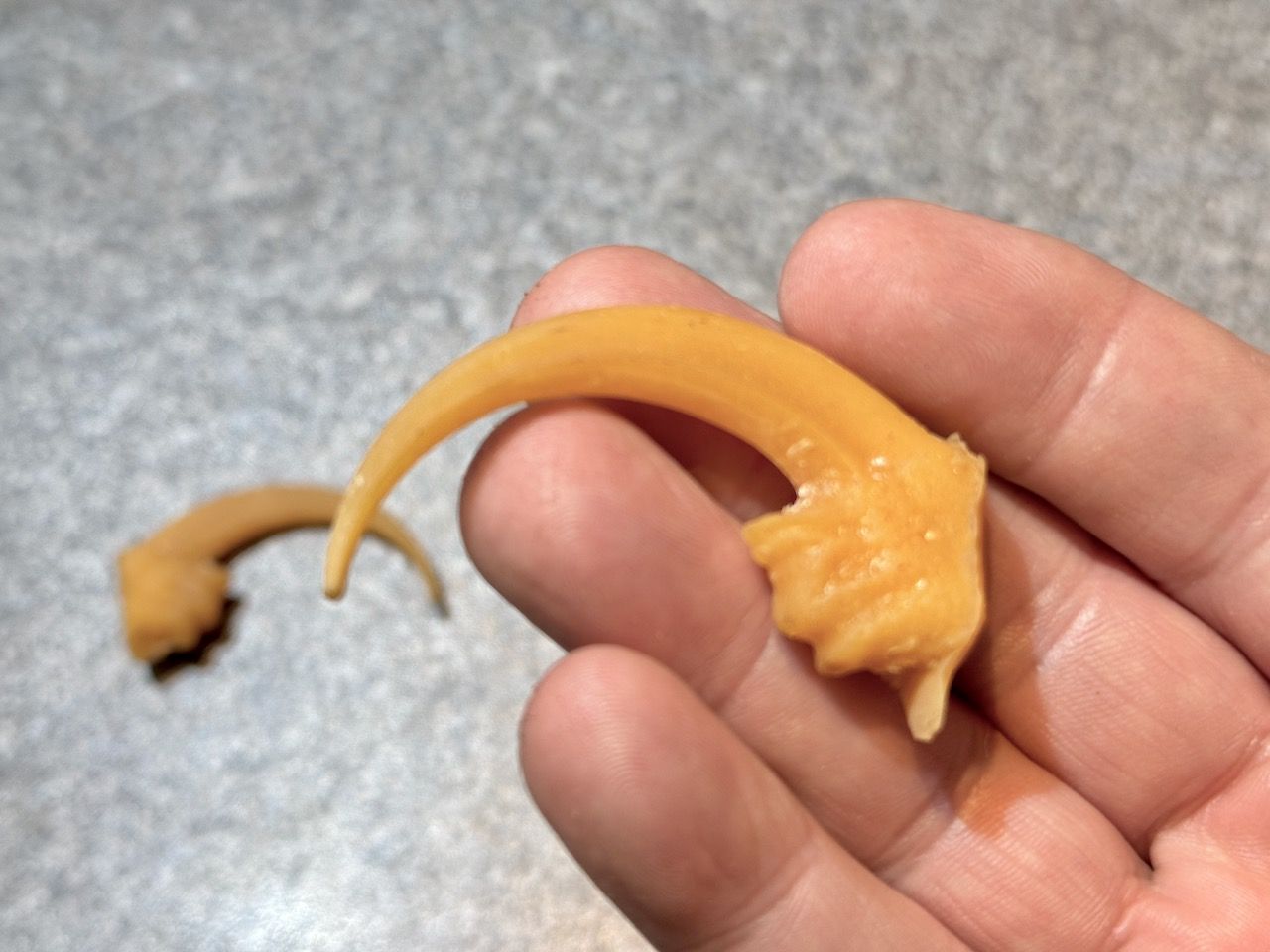 The Dark Crystal Resin Claw