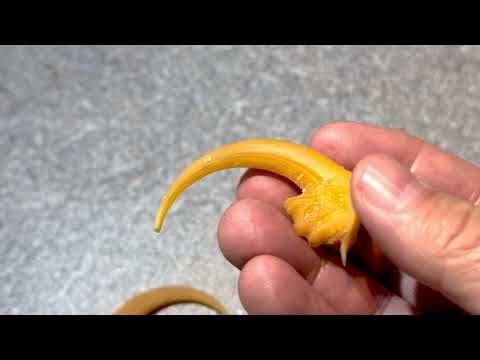 The Dark Crystal Resin Claw