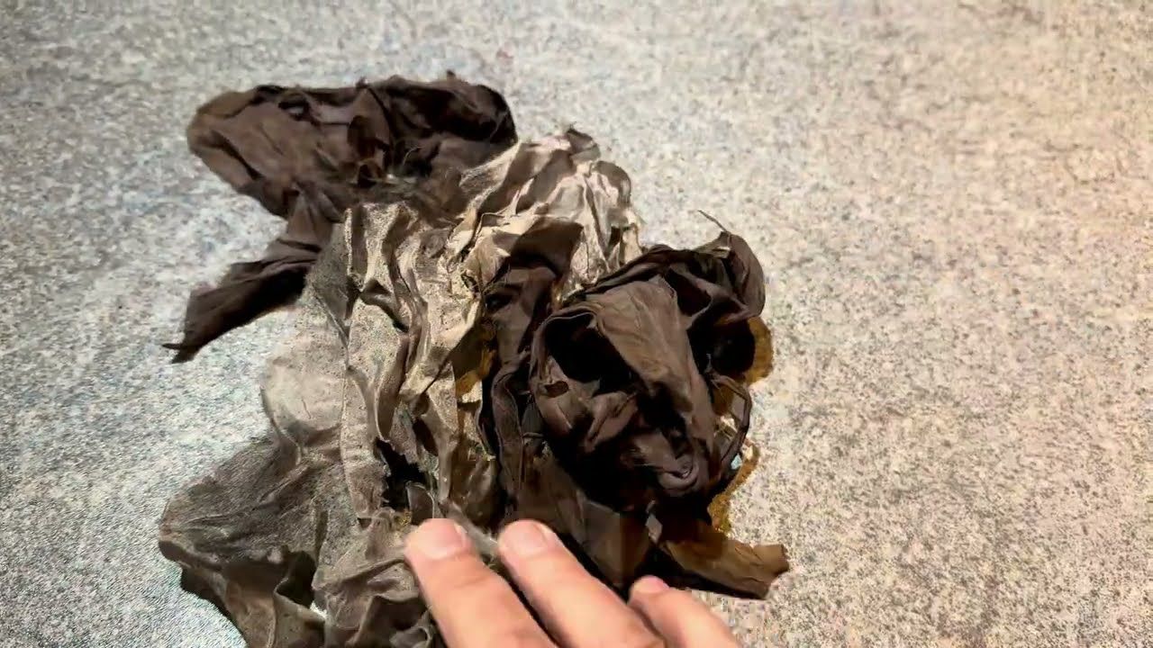 The Dark Crystal Screen Used Chamberlain Skeksis Costume Shreds