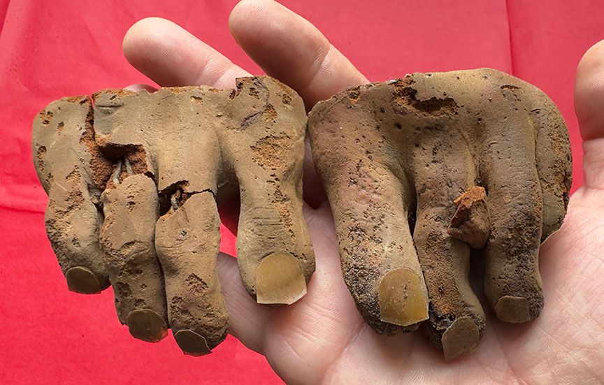 The Dark Crystal Jen Gelfling Feet/Toes