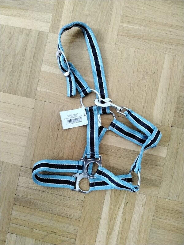 Mini Shetty Halfter