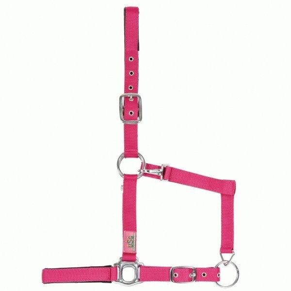 X-Full Kaltblut Halfter pink fuchsia