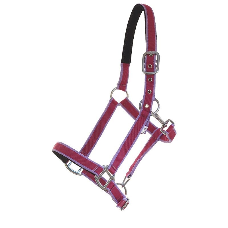 Shetty Halfter lila-rot