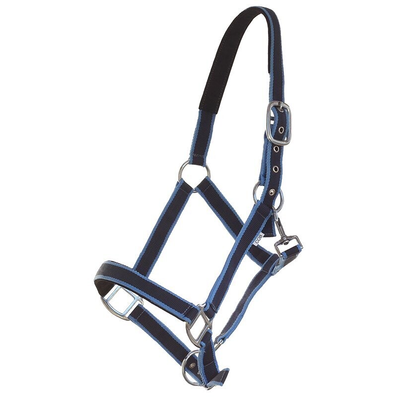 Shetty Halfter blau