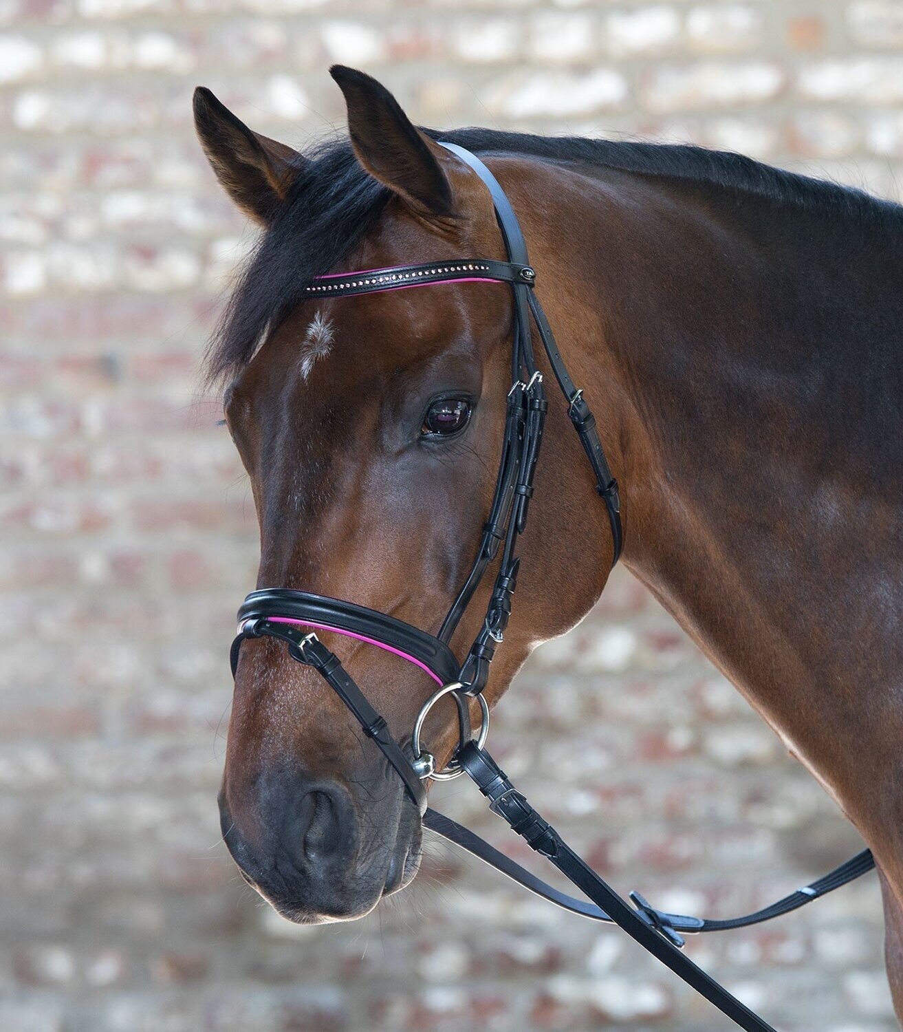 Star Trenszenzaum Diamond Shetty
