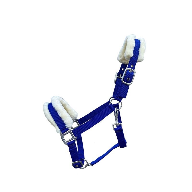 Halfter Teddy Gr. Pony blau