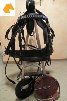 Mini-Shetty, Shetty, Pony  Geschirre