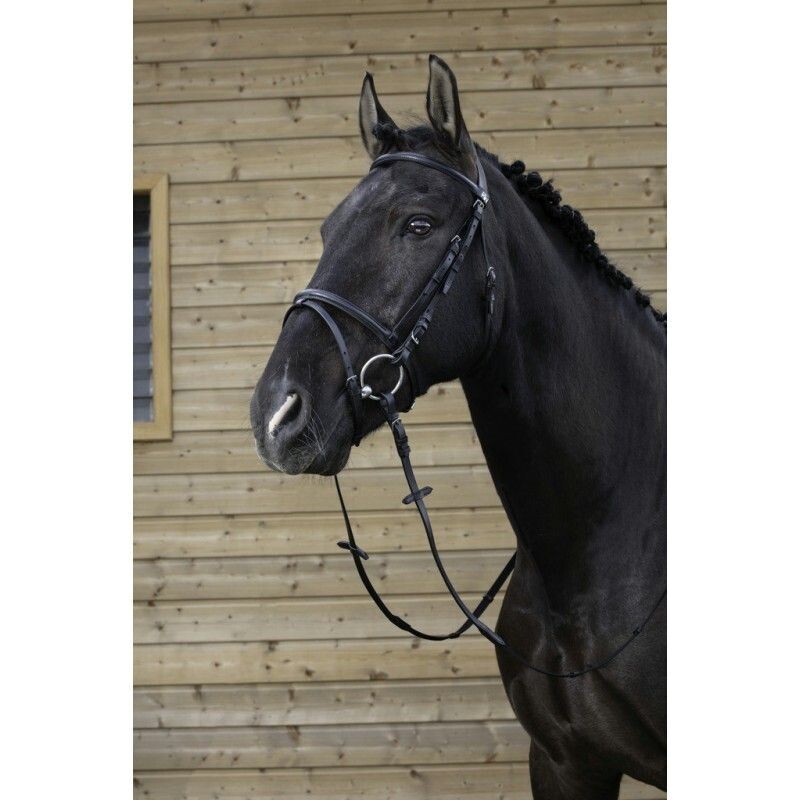 Riding World Trense schwarz inkl. Zügel Full