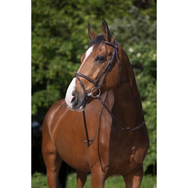 Riding World Trensenzaum braun Full