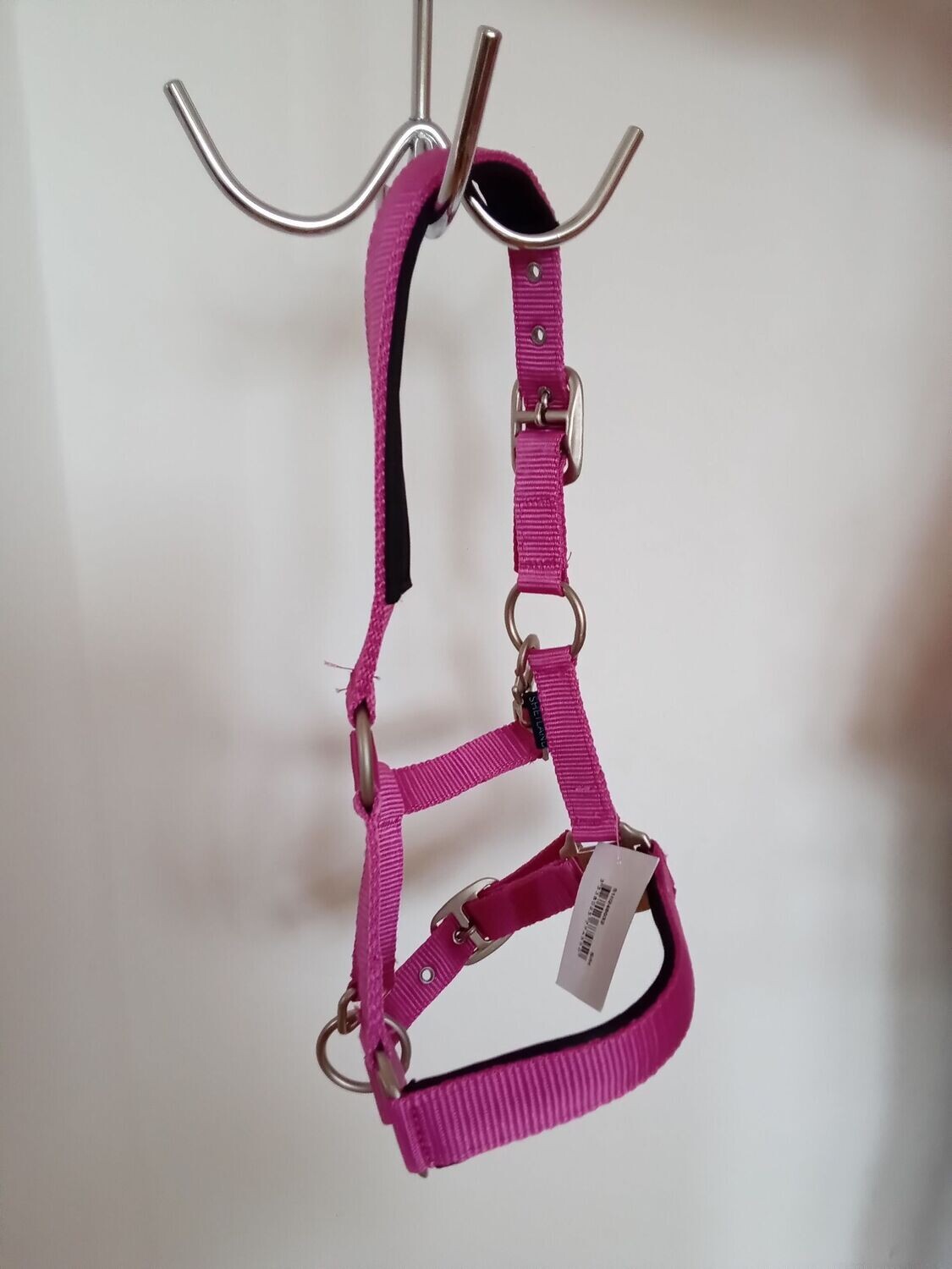 Shetty Halfter Fuchsia