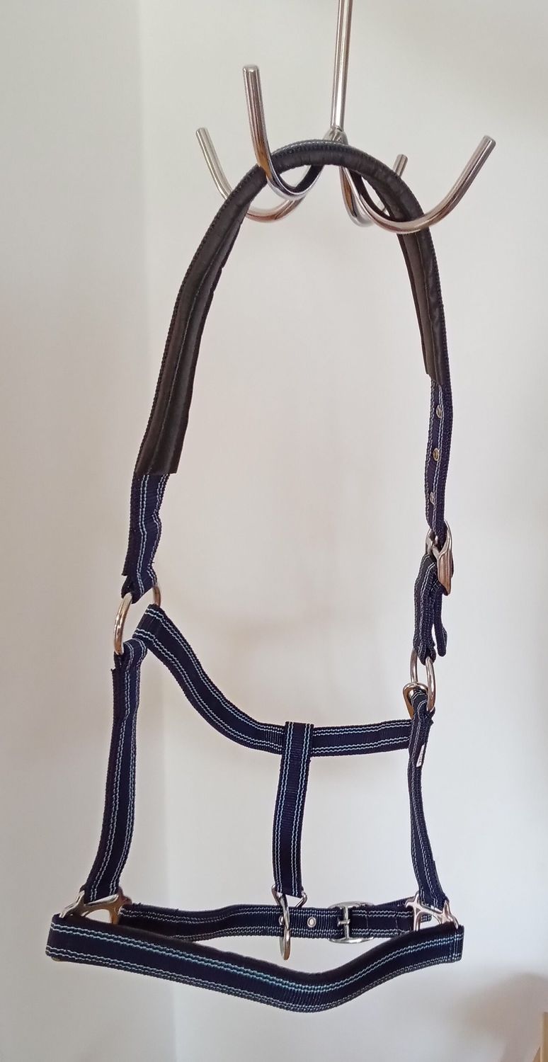 XFull Premium Halfter blau
