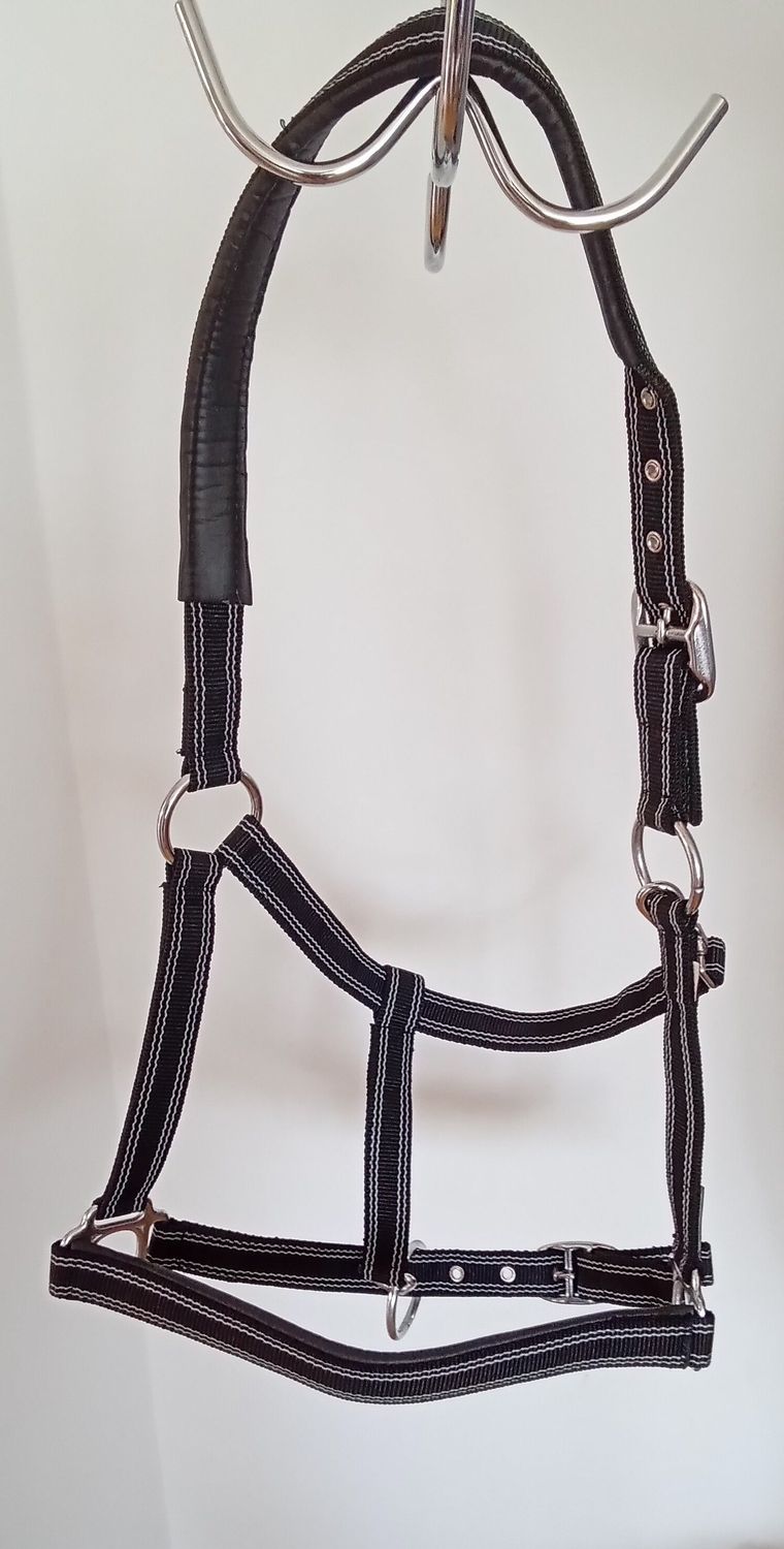 XFull Premium Halfter schwarz