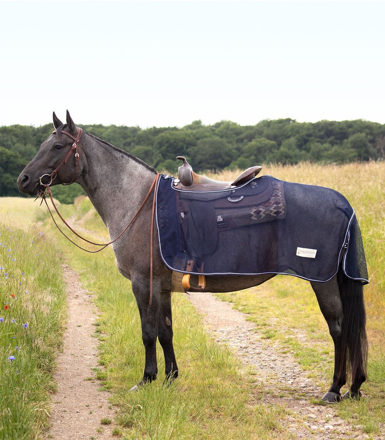Fliegenausreitdecke Gr. 145 cm