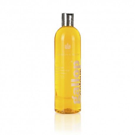 Carr & Day & Martin Shampoo Galopp Fuchs 500 ml