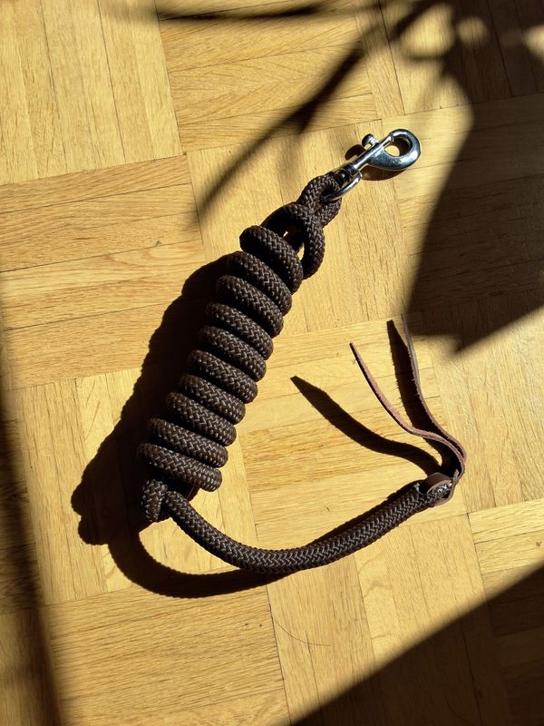 Führstrick mit Karabiner 1 Stück Führstrick mit Karabiner 1 Stück