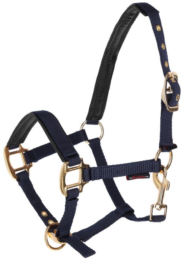 Mini Shetty Halfter blau