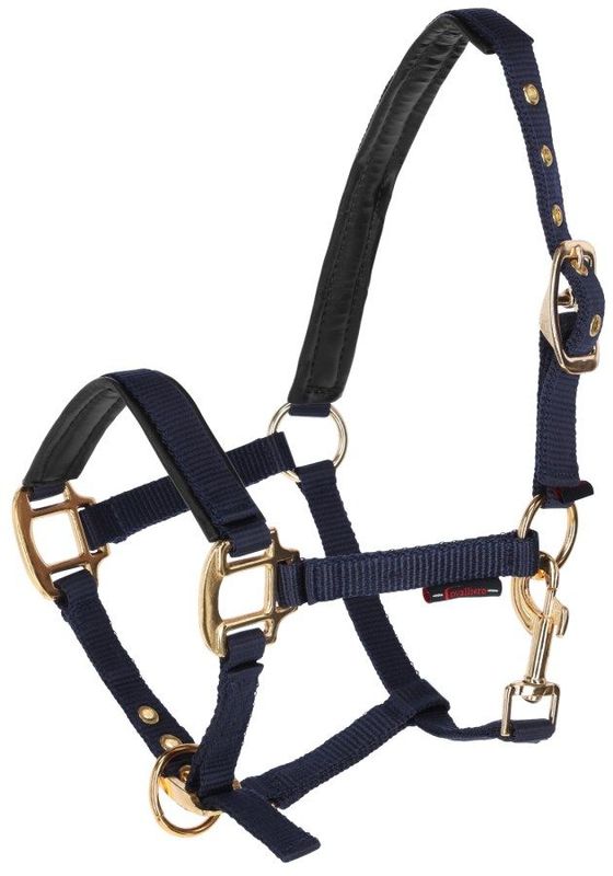 Mini Shetty Halfter blau