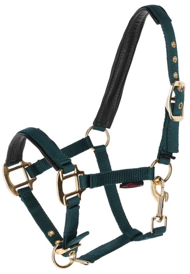 Mini Shetty Halfter grün