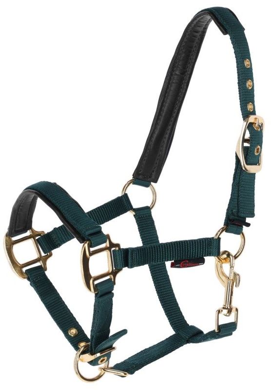 Mini Shetty Halfter grün