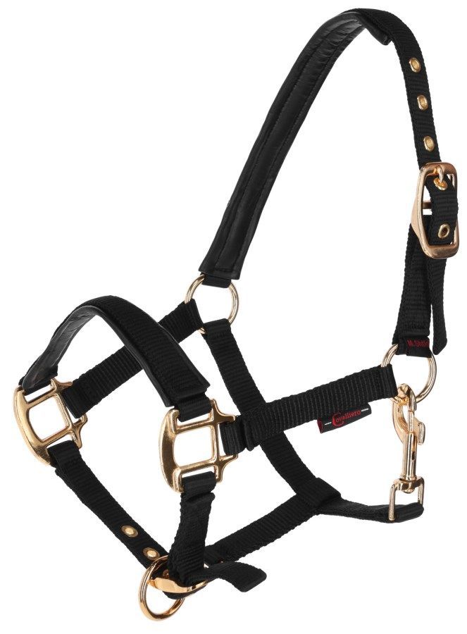 Mini Shetty Halfter schwarz