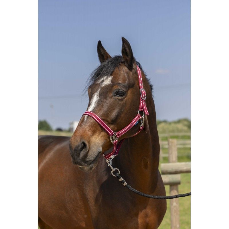 Halfter Groomer Gr. Full/WB weinrot