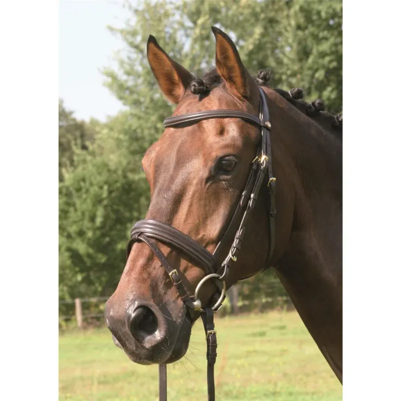 Hans Melzer Bad Harzburg Trense Cob braun Hans Melzer Bad Harzburg Trense Cob braun