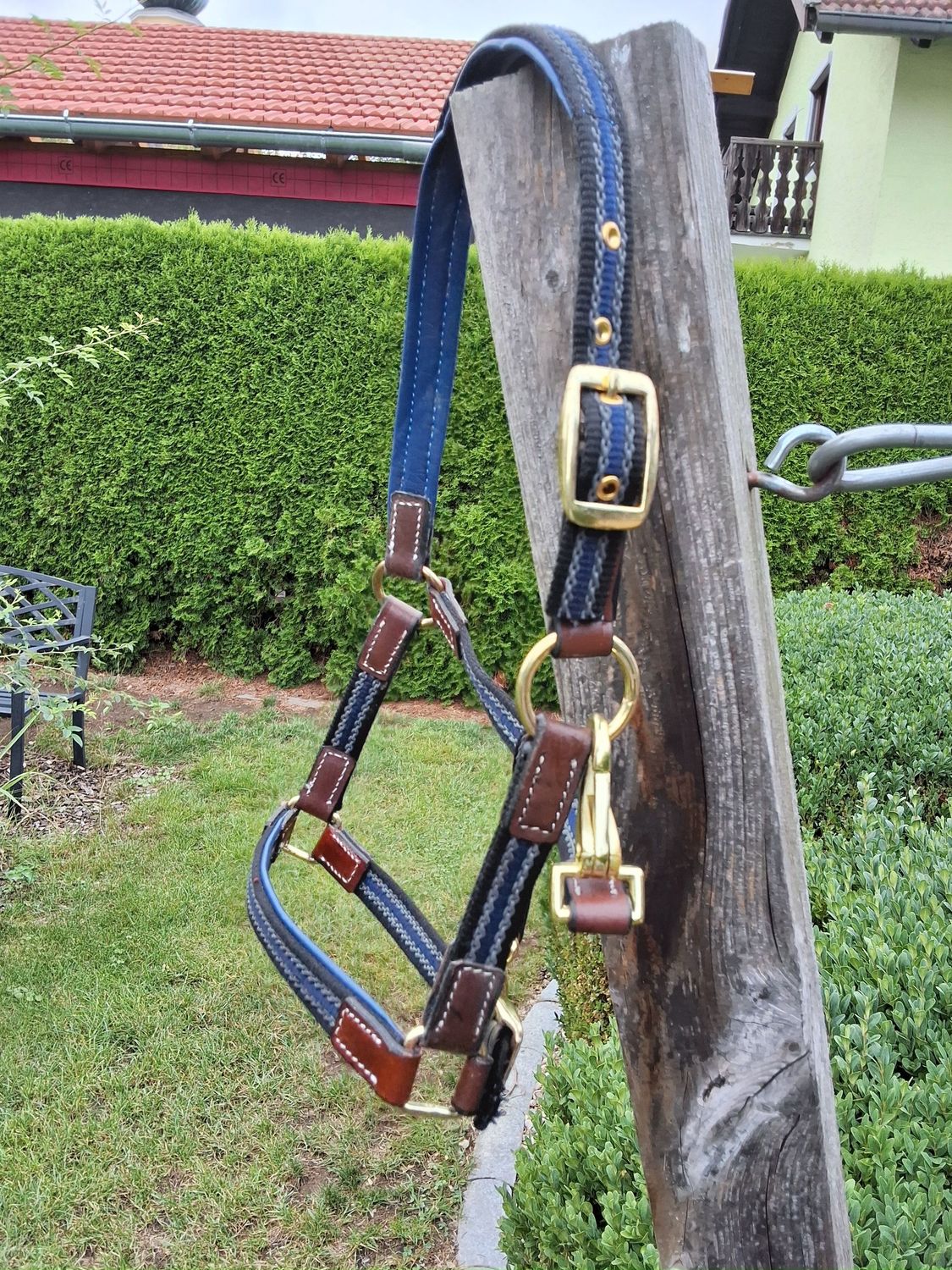 Mini Shetty Halfter Ruby blau