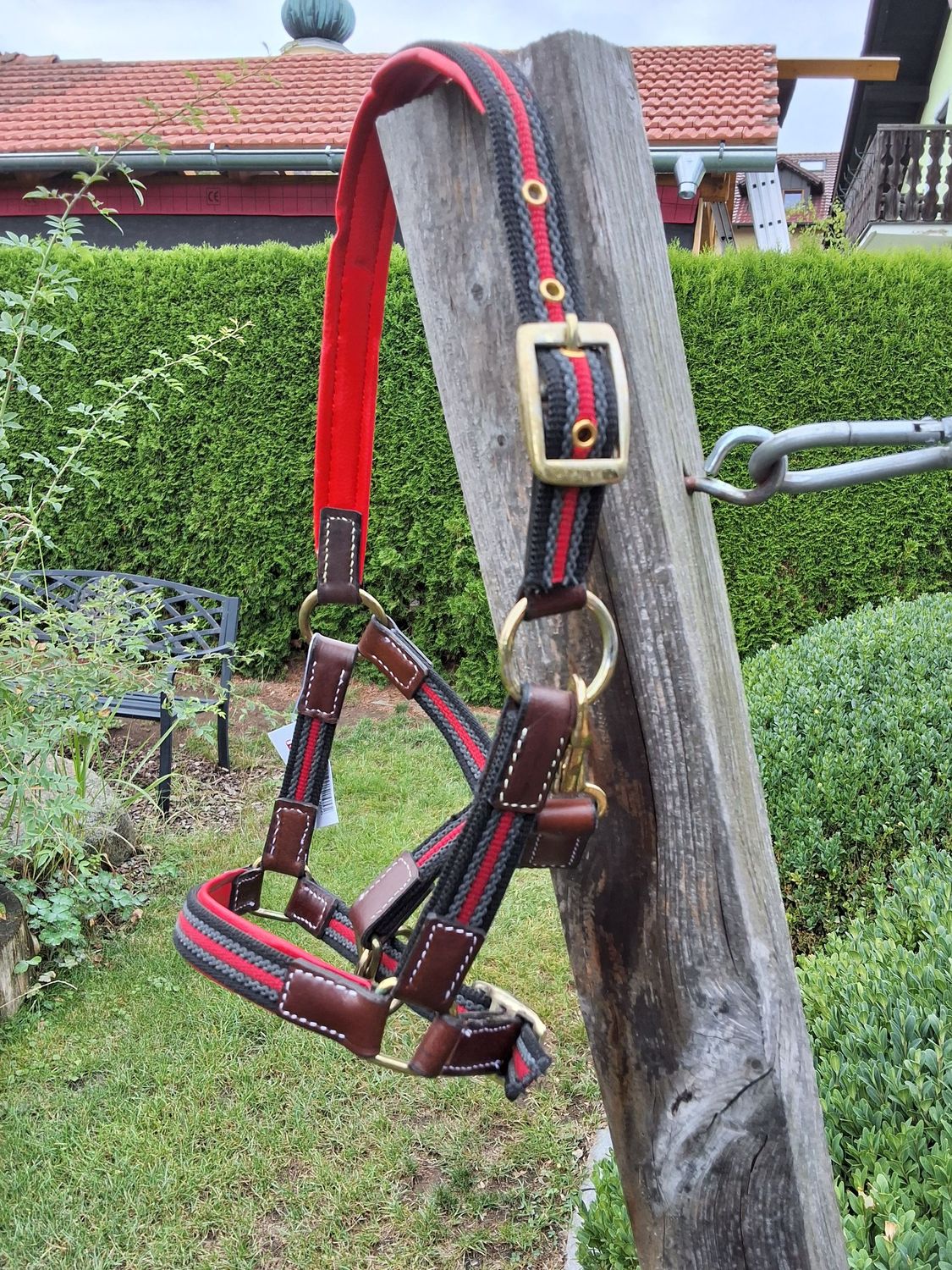 Mini Shetty Halfter Ruby rot
