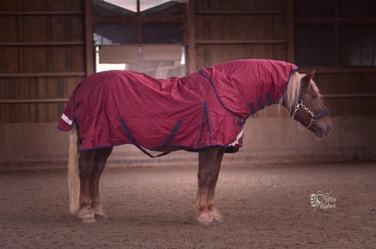 Outdoordecke mit Halsteil abnehmbar Gr. 185 cm 1680 Denier 100 G weinrot