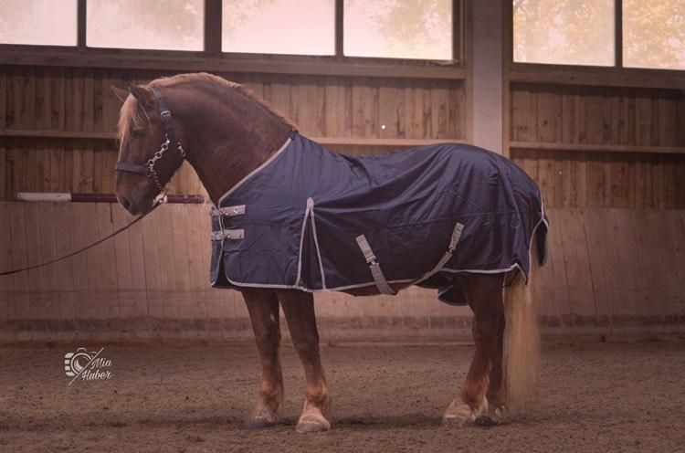 Kaltblut Outdoordecke Gr. 185 cm 50 G dunkelblau 1680 Denier Kaltblut Outdoordecke Gr. 185 cm 50 G dunkelblau 1680 Denier