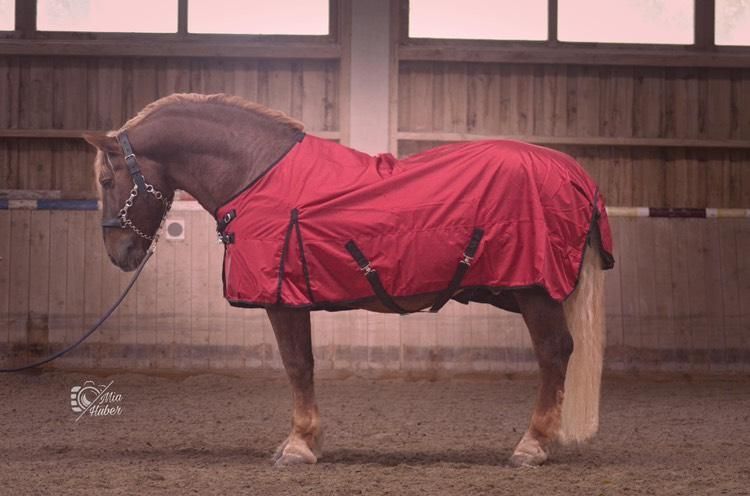 Outdoordecke BREITE BRUST Gr. 165 cm 1680 Denier 100 G weinrot Outdoordecke BREITE BRUST Gr. 165 cm 1680 Denier 100 G weinrot