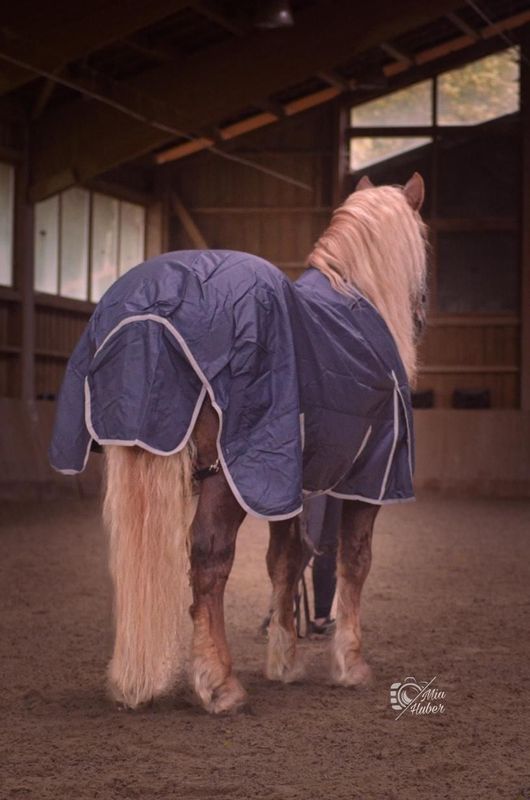 Outdoordecke BREITE BRUST Gr. 155 cm  1680 Denier 100 G blau