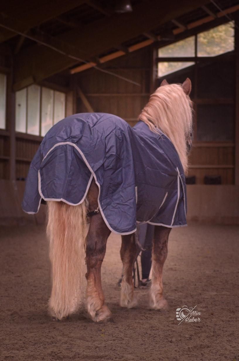 Outdoordecke BREITE BRUST Gr. 175 cm 1680 Denier 100G blau Outdoordecke BREITE BRUST Gr. 175 cm 1680 Denier 100G blau