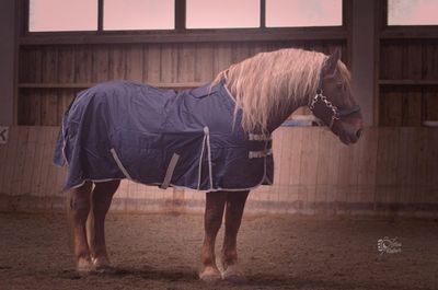 Outdoor/ Regendecken 115 cm - 185 cm