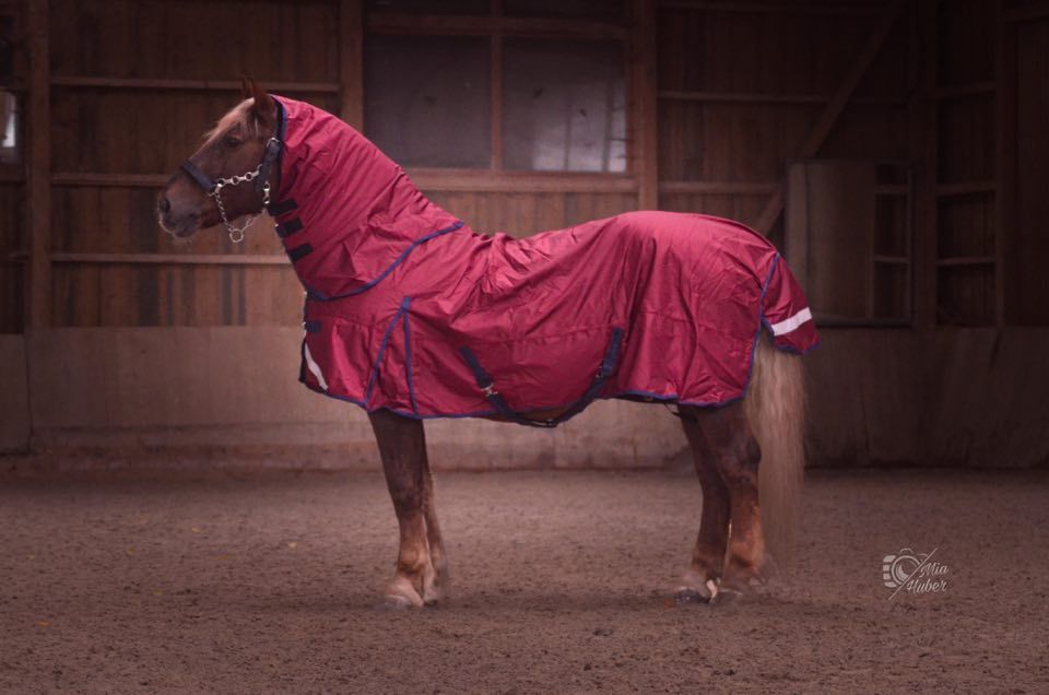 Outdoordecke mit Halsteil abnehmbar,  Gr.165 cm 100 G 1680 Denier weinrot