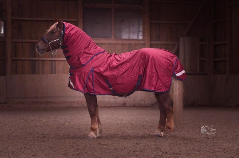 Outdoordecke mit Halsteil abnehmbar, Gr.165 cm 100 G 1680 Denier weinrot Outdoordecke mit Halsteil abnehmbar, Gr.165 cm 100 G 1680 Denier weinrot