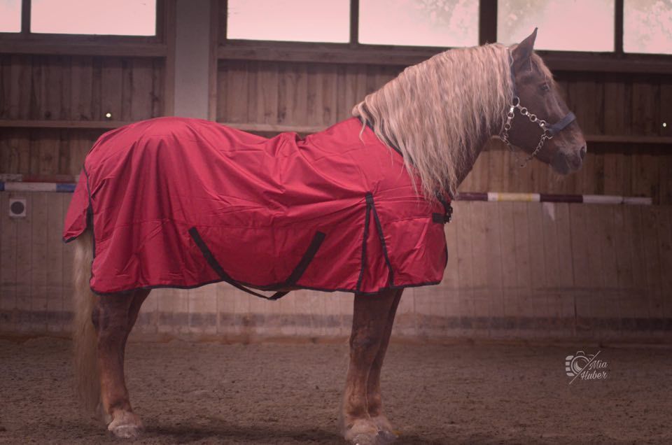 Outdoordecke BREITE BRUST Gr. 145 cm 1680 D 100 G weinrot Outdoordecke BREITE BRUST Gr. 145 cm 1680 D 100 G weinrot