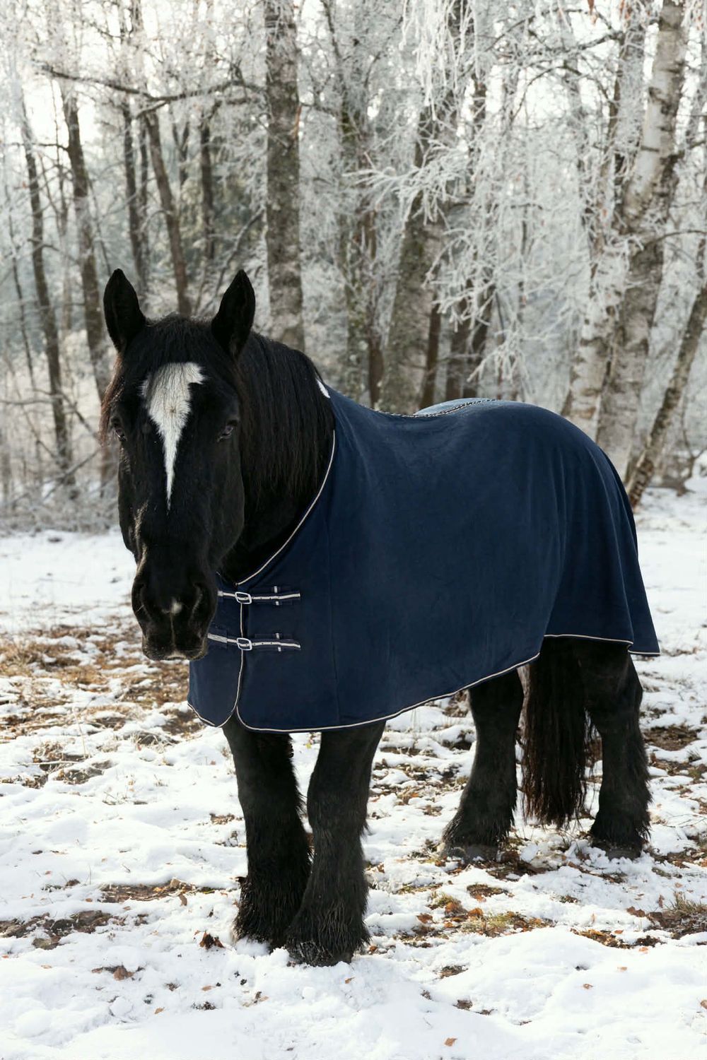 Kaltblut Abschwitzdecke 185 cm schwarz