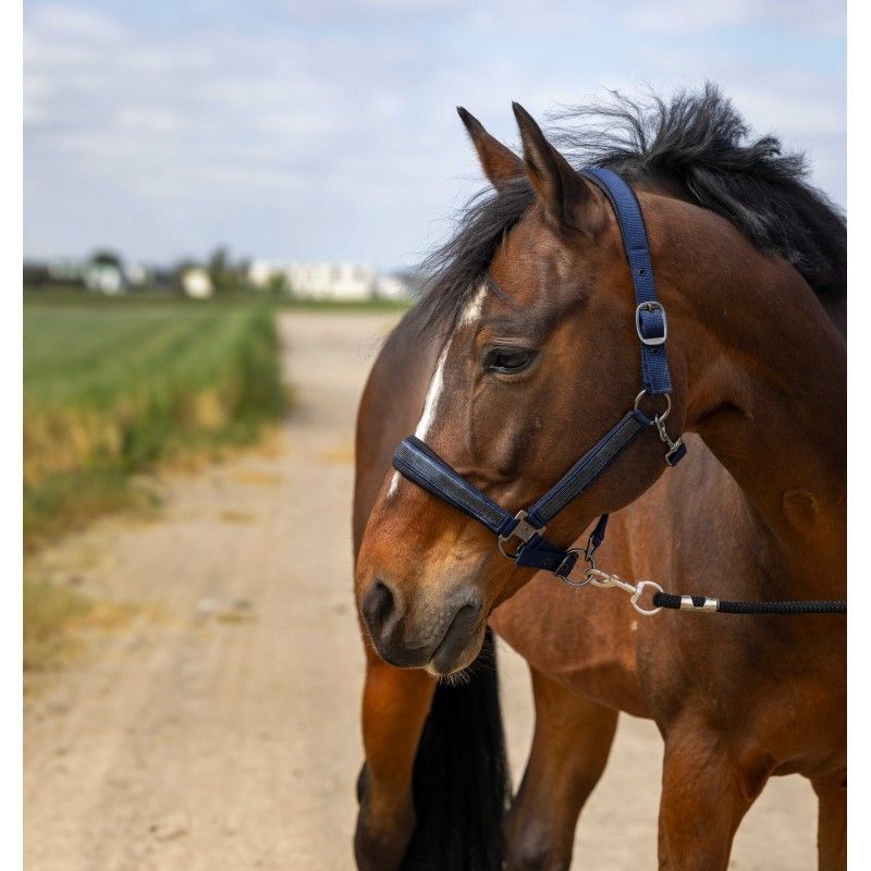 EQHT Halfter Strass Gr. Cob Blau