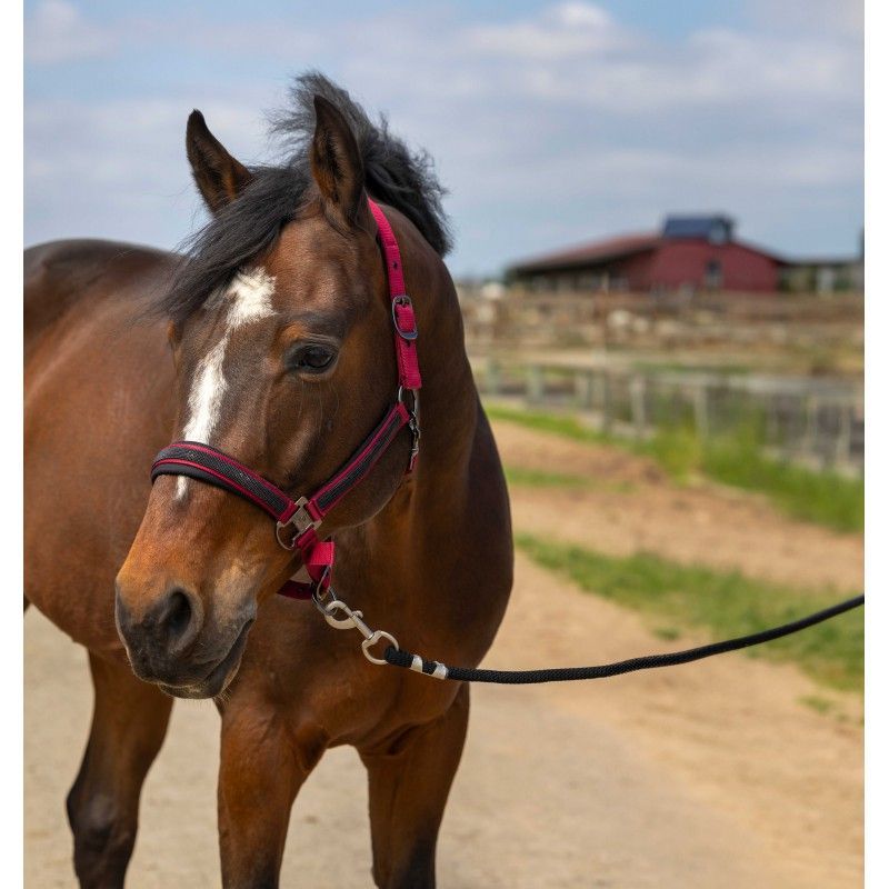 EQHT Halfter - Strass Gr. Cob weinrot