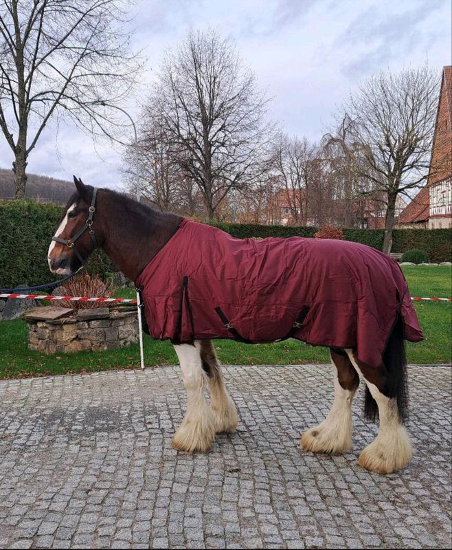 Kaltblut Outdoordecke 200 Gramm 175 cm 1680 Denier weinrot