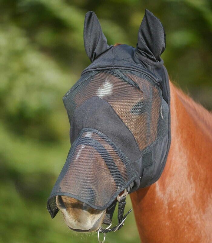 Pony Fliegenmaske reduziert Pony Fliegenmaske reduziert