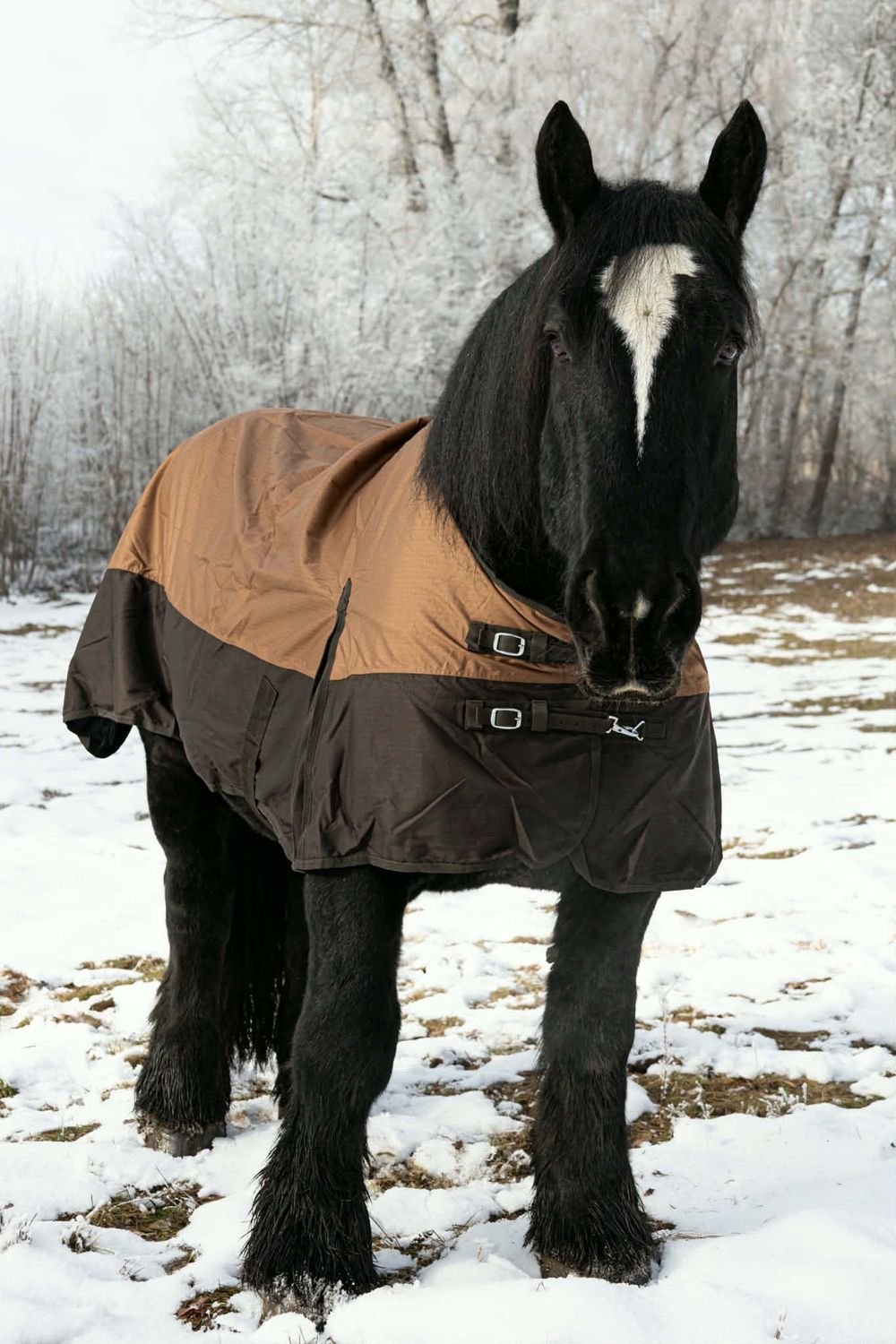 Kaltblut Regendecke mit Fleece Gr. 185 cm 600 D braun