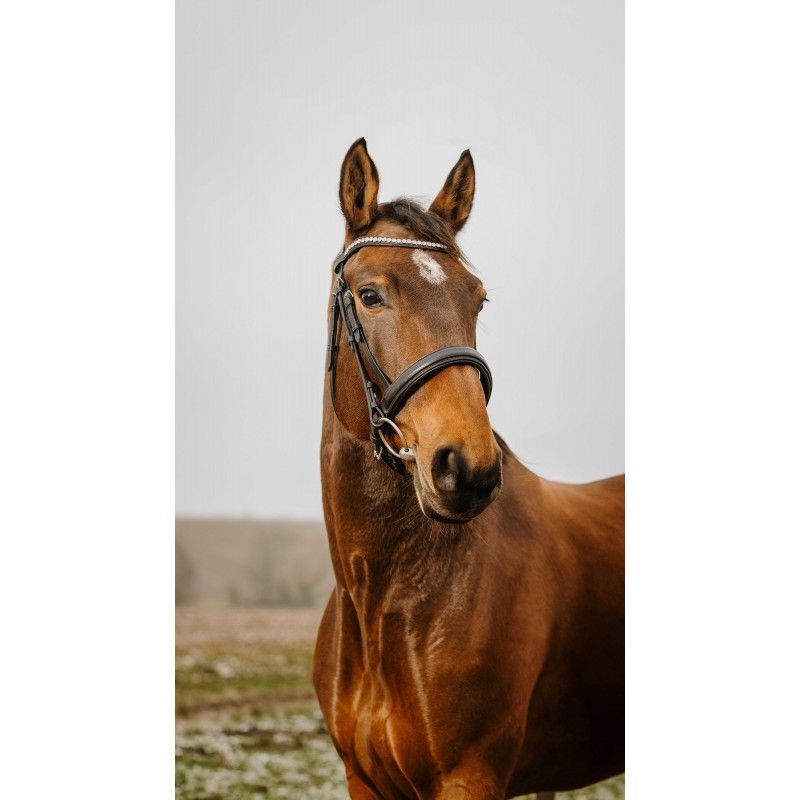 Norton Trense Diva Gr. Cob schwarz