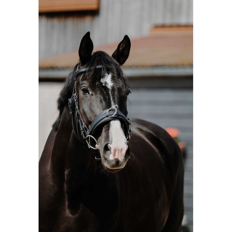 Norton Kappzaum Gr. Full Leder