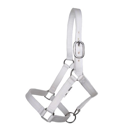 Ideal Vorführhalfter extra stark weiß Gr. XF