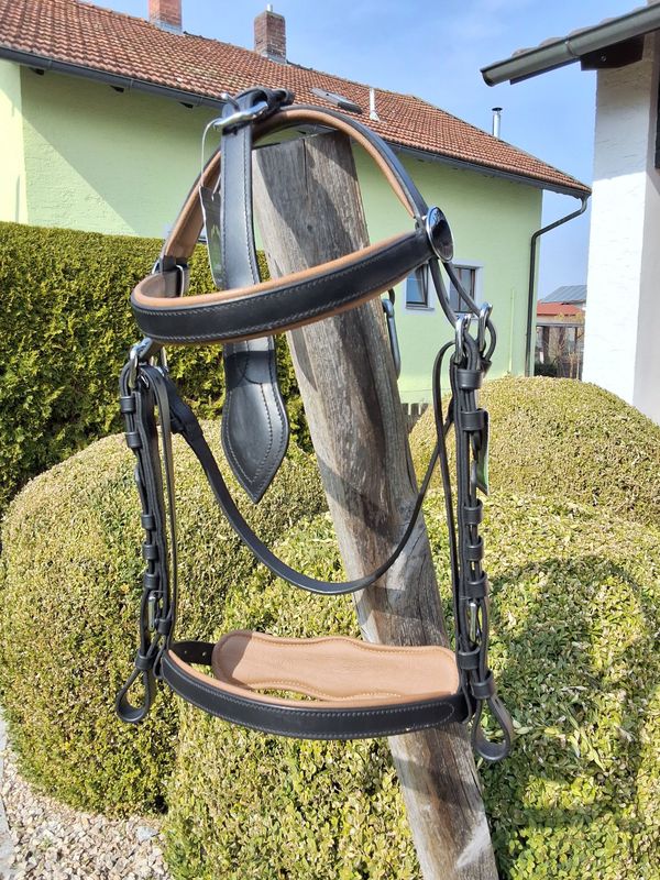 Ideal Kopfstück XF Leder schwarz-braun ohne Scheuklappen