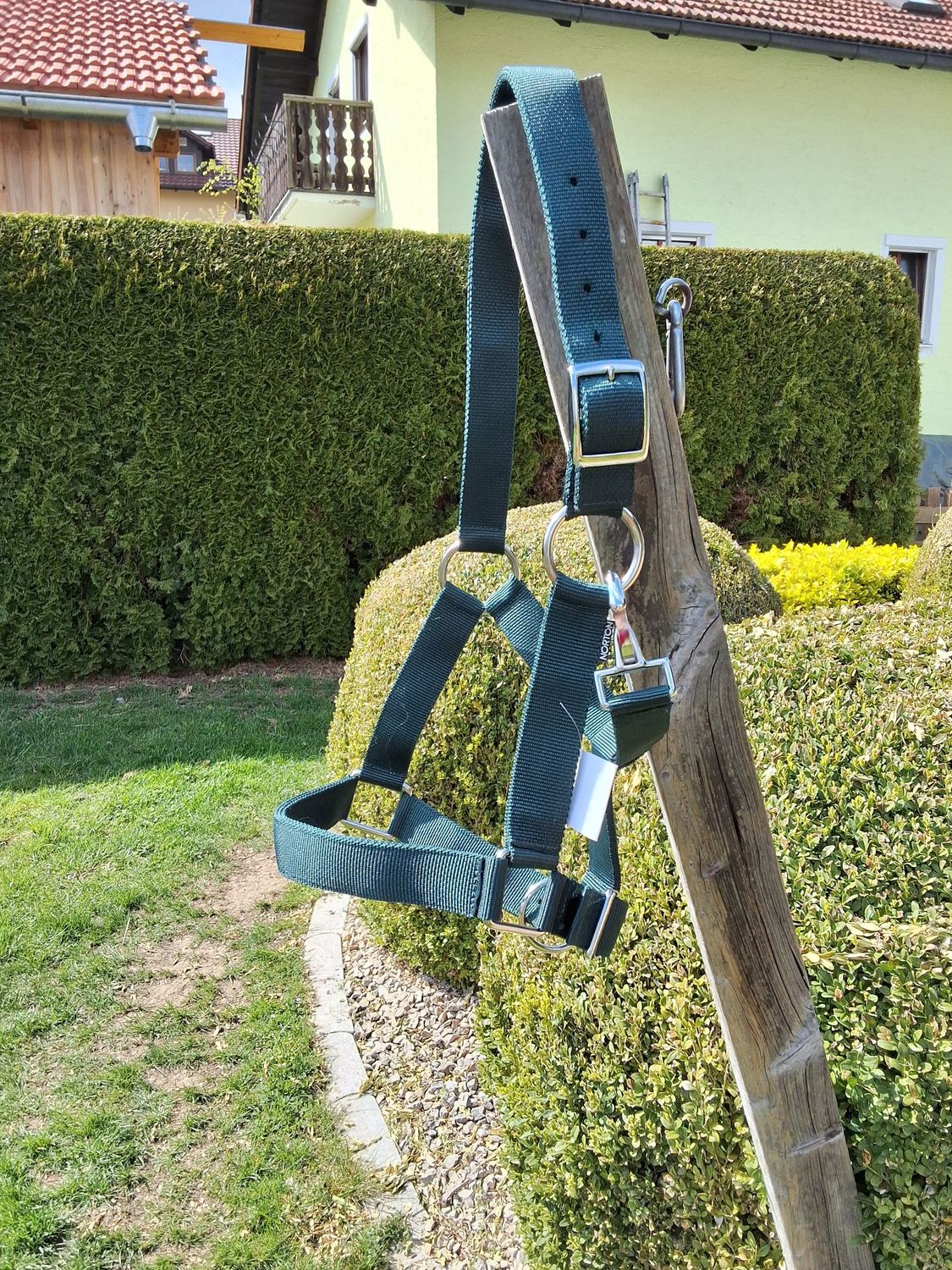 XF Kaltblut Halfter extra stark grün